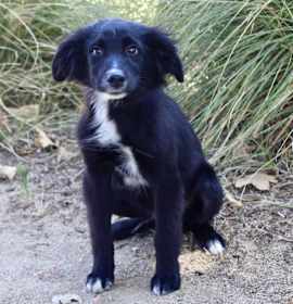 Photo of Yahtzee