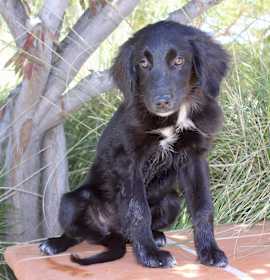 Photo of Zingo