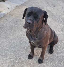 Photo of Lexi