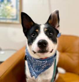 Photo of Kai keeps the fun and love flowing