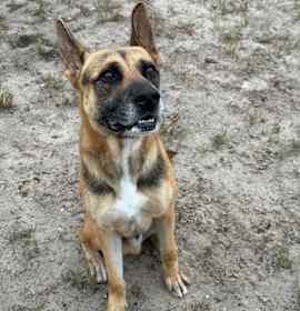 Photo of Winston Furchill