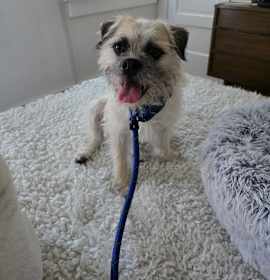 Photo of Luna