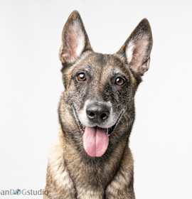 Photo of Maggie May - Located in Florida