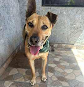 Photo of Charro