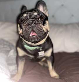 Photo of Kash