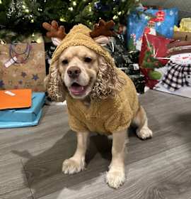 Photo of Milo