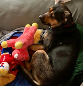 Photo of Eva