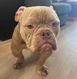 Photo of Fred