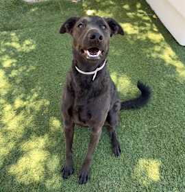 Photo of PENNY