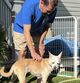 Addie (In Foster) photo 3