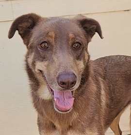 Photo of Penelope JW