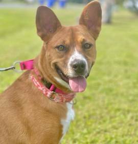 Photo of Cass Noelle