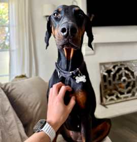 Photo of Chloe