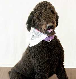 Photo of Zero