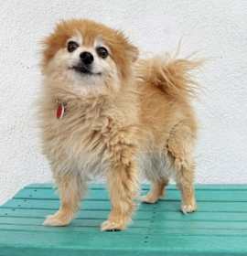 Photo of Holler