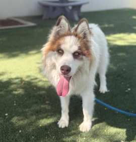 Photo of MAX