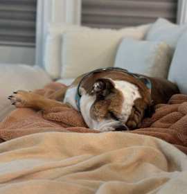 Norah Roxie Jean photo 2