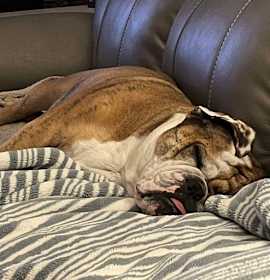 Norah Roxie Jean photo 3