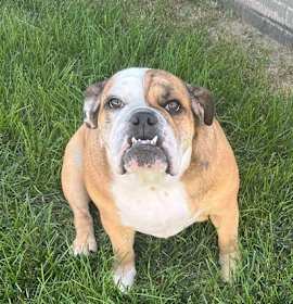 Norah Roxie Jean photo 4