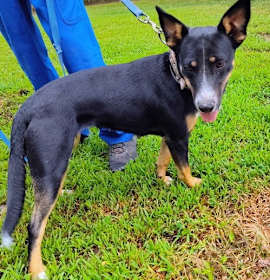 Photo of Bella Carol