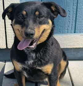 Photo of FAITHFUL AND TRUE