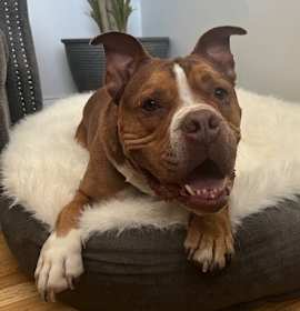 Photo of Leon