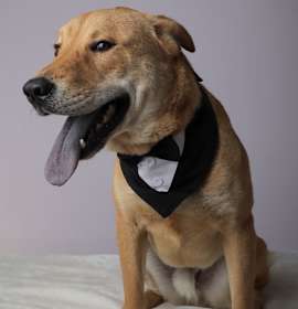 Photo of Chi (Rodrigo)