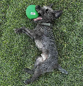 Photo of Newman