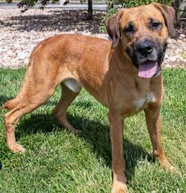 Photo of 90079 Justin