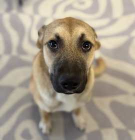 Photo of Franny