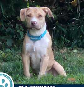 Photo of Butter (The Baking Bunch) 080925