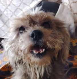 Photo of Happy