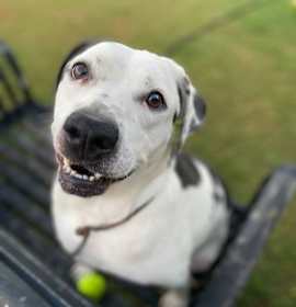 Photo of Max