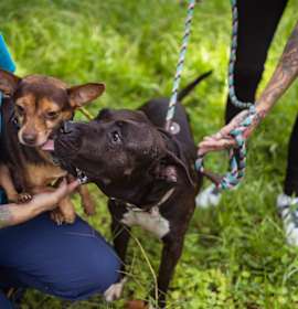 Photo of Eclair & Twix