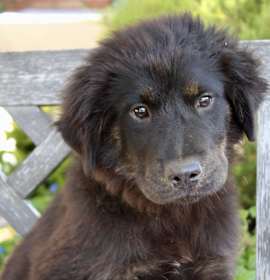 Photo of Selma