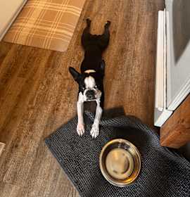Photo of Skye