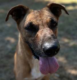 Busta Rhymes (River) photo 3