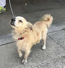 Photo of Alvin