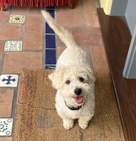 Photo of Ralphie