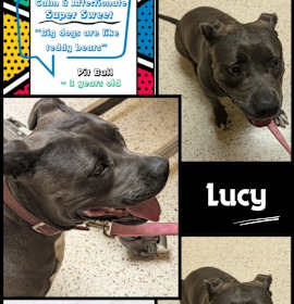 Photo of Lucy