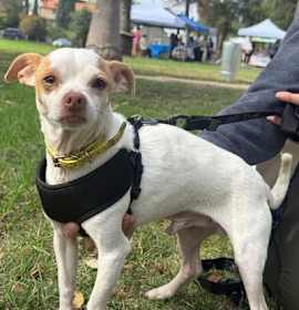 Photo of Paul (Palomo)