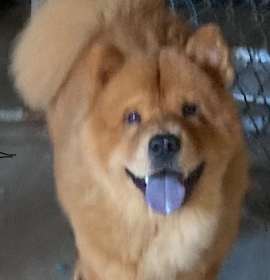 Photo of Bennie