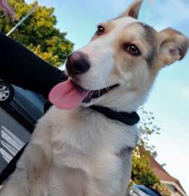 Photo of Charlie