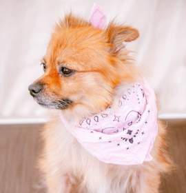 Photo of Susie