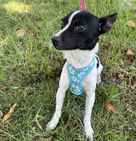 Photo of MINDY
