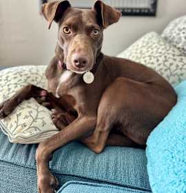 Photo of Gigi