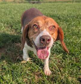 Photo of Marston