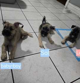 Photo of Luna(F), Sol(M), Baby boy(M)