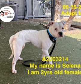 Photo of SELENA