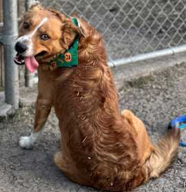 Photo of Little Bear